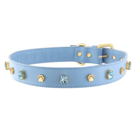 Baby Blue Rain Paw For Big Boys Collar