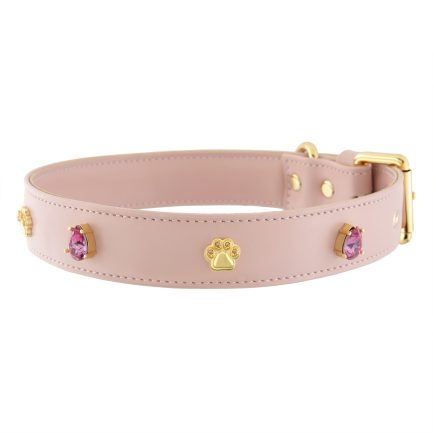 Pink Rain Paw For Big Boys Collar